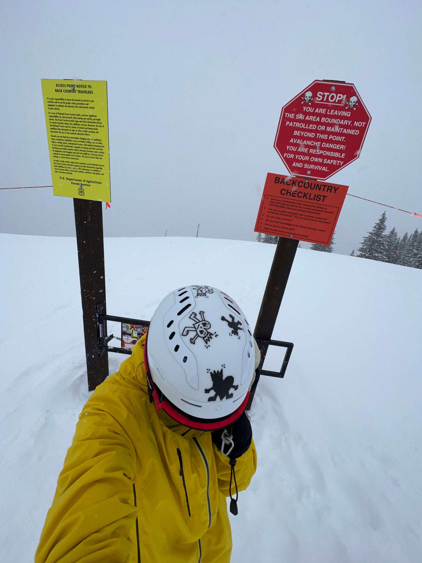 Hearts On Snowboarding Helmet